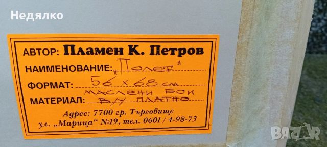 Пламен Петров,"Полет",масло на платно,голяма картина, снимка 8 - Антикварни и старинни предмети - 45876859