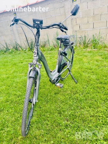 GIANT-хибрид-четете описанието