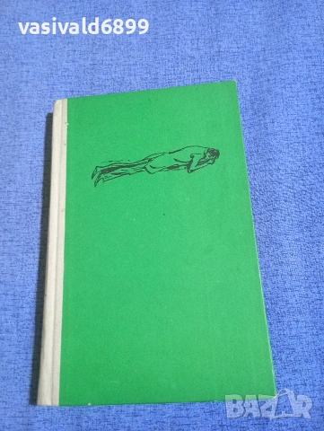 Зофия Налковска - Граница , снимка 2 - Художествена литература - 54194639