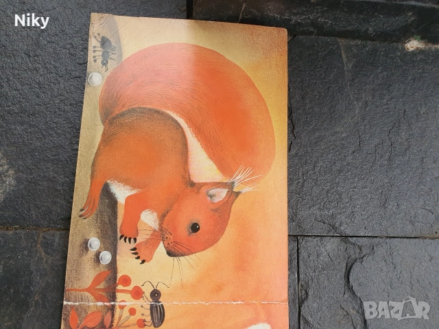 Tiere in Wald und Feld - Животните в гората и полето , снимка 6 - Детски книжки - 53506964