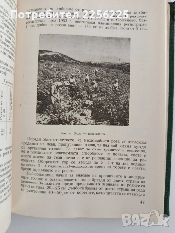 Етерично маслени и медицински култури, снимка 3 - Специализирана литература - 53112912