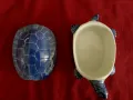 Стара порцеланова кутия за бижута Костенурка., снимка 4