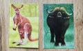 Ретро календарчета със животни/ За колекционери, снимка 2