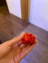 Carolina Reaper Каролина Рипер, снимка 10