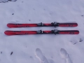 Ски 160 см Pale SR 10 cross ski, снимка 1