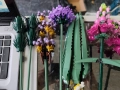 Лего 10311/10280/10281 Lego Botanicals, снимка 6