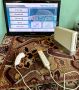 Nintendo Wii / комплект , снимка 4