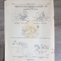 Списание "Нашата конница"-1931 година, снимка 5 - Антикварни и старинни предмети - 45853024