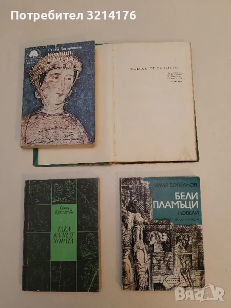 Бели пламъци - Илия Богданов, снимка 1