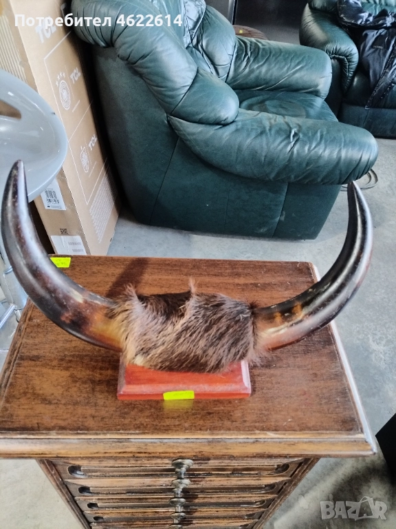 ТРОФЕЙ , снимка 1