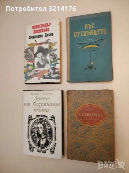 Крушение - Рабиндранат Тагор, снимка 1