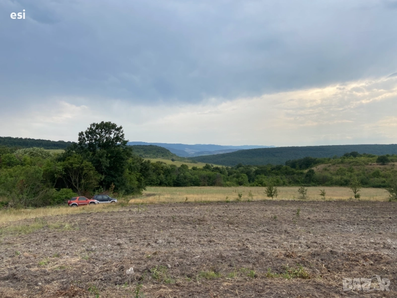 Продавам Много Изгодна Земеделска Земя в област Варна, снимка 1
