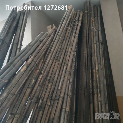Бамбук пръчки 2.50м дължина, снимка 1 - Декорация за дома - 45978643