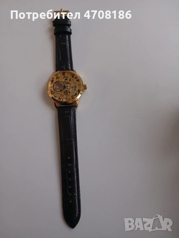 Часовник тип Скелетон , снимка 7 - Луксозни - 53098883