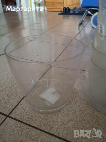 прозрачни саксии с подложки, снимка 4 - Стайни растения - 54265048