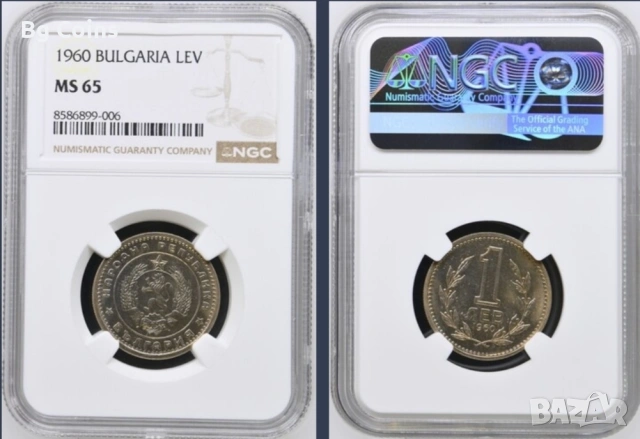 Сертифицирани монети 1951-1990 NGC , снимка 11 - Нумизматика и бонистика - 51200504