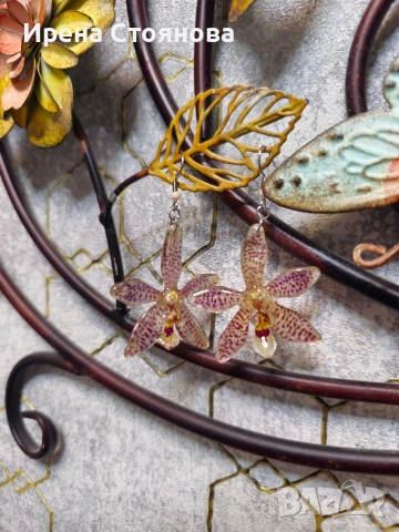 🕷🕸Нежно паяче🕷🕸 Елегантни обеци, вдъхновени от екзотичната орхидея паяк , снимка 3 - Обеци - 53870007