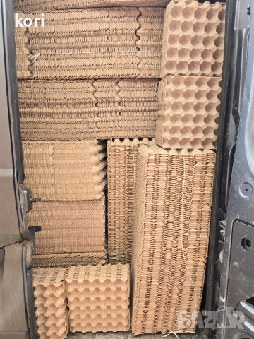 Продавам кори за яйца , снимка 14 - Кокошки и пуйки - 28068248