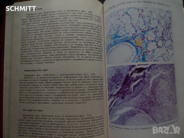 РЪКОВОДСТВО ПО ХИСТОЛОГИЯ НА ЧОВЕКА, снимка 5 - Художествена литература - 52059563