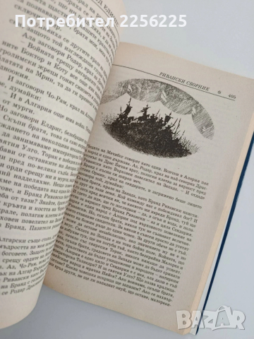 Пророчицата от Кел, снимка 2 - Художествена литература - 53746755