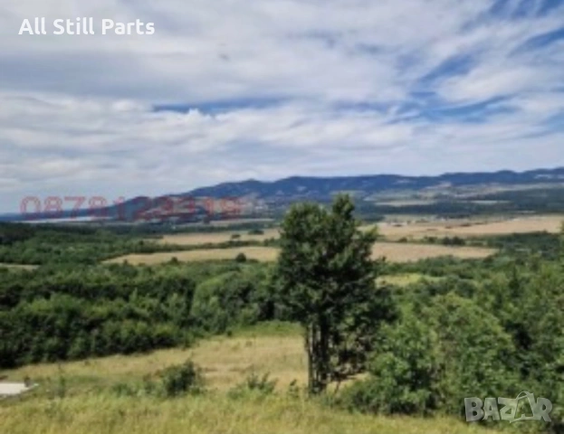 Имот в село Павлоче, снимка 3 - Парцели - 53559254