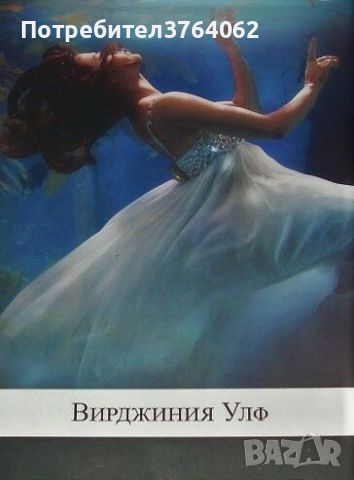 Вълните Вирджиния Улф, снимка 1 - Художествена литература - 46598962