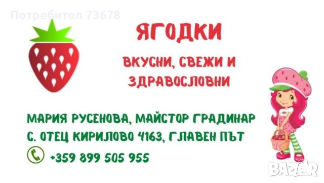 Ягоди от производител, снимка 3 - Домашни продукти - 46343389