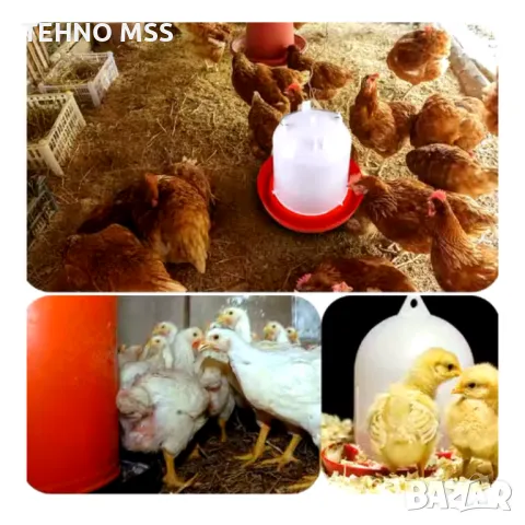 Вакуумна Автоматична поилка за кокошки W14 Л (К-КТ / 10 БРОЯ) #069, снимка 2 - За птици - 50387487