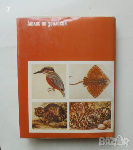 Книга Атлас по зоология: Гръбначни животни - Цоло Пешев, Симеон Симеонов 1993 г., снимка 7 - Други - 46433005