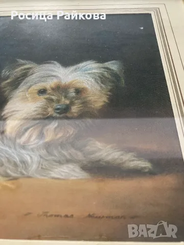 Картина с кученце, снимка 5 - Картини - 50021907