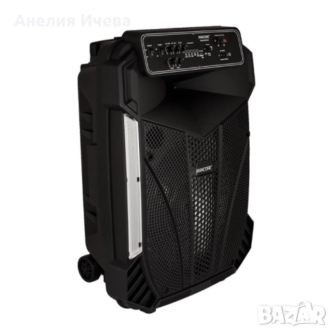 Активна тонколона Rancore RS151X, снимка 6 - Тонколони - 51937518