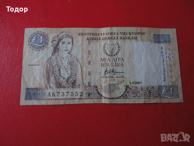 1 Паунд 2001 Кипър 6, снимка 6 - Нумизматика и бонистика - 52833376