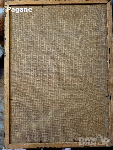 Портрет- Людмила Поптошева, снимка 12 - Картини - 53470400