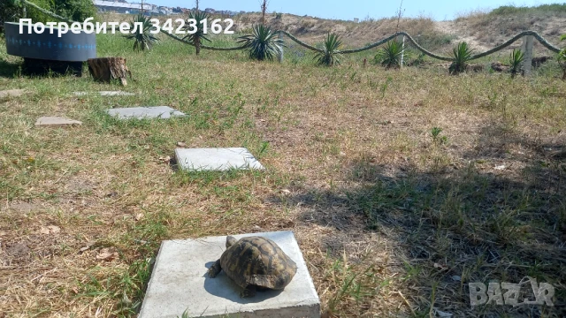 Каравана Съни2, снимка 15 - Каравани под наем - 45584075