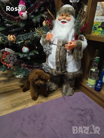 Продавам пудел той 