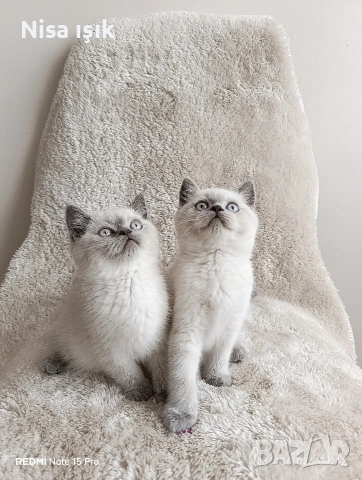 не са красиви те с най красивите момченца в Хасково