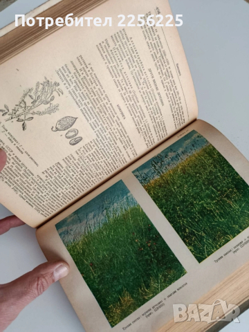 Растениевъдство 1954г, снимка 11 - Специализирана литература - 53124526