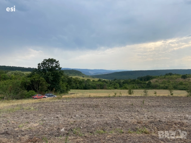 Продавам Много Изгодна Земеделска Земя в област Варна, снимка 1