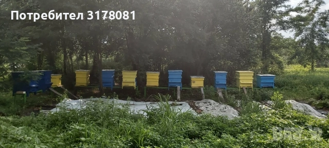 Продавам кошери 