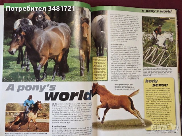 Илюстриран справочник - коне и понита / The Complete Guides to Horses and Ponies, снимка 5 - Енциклопедии, справочници - 53748600