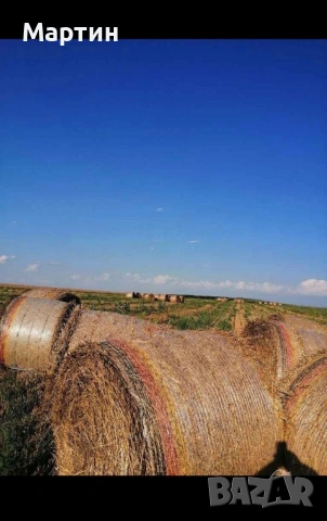 Сламопреса тип руло (балировачка) - New Holland 841, снимка 6 - Селскостопанска техника - 53731079