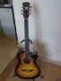 Продавам електро-акустична китара Pasadena, снимка 1