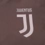Мъжко горнище Adidas - Juventus, снимка 4