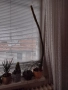  кактус 🌵120 см, снимка 1