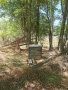 Продавам място в с. Радибош 3 Дка. , снимка 4