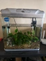 Продавам аквариум комплект, снимка 1