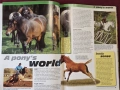 Илюстриран справочник - коне и понита / The Complete Guides to Horses and Ponies, снимка 5