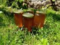 Пчелен мед , снимка 1 - Пчелни продукти - 45717547