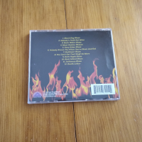 PAT TRAVERS - BLUES ON FIRE 8лв матричен диск, снимка 3 - CD дискове - 44994590