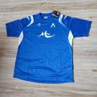 Оригинална мъжка тениска и къси гащи Uhlsport x PFC Levski Sofia / Season 08-10 (Home), снимка 2 - Тениски - 44950878